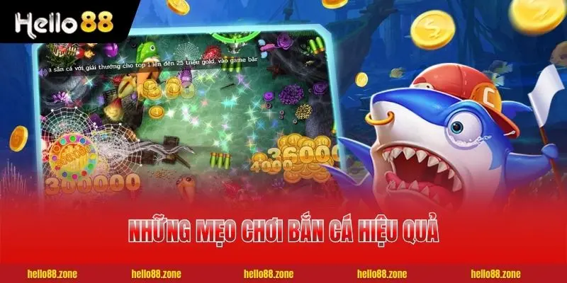 Mẹo Chơi Bắn Cá - Chiến Thuật Săn Boss Hiệu Quả Đạt 99% 3 Những mẹo chơi bắn cá hiệu quả cao nhất cho hội viên