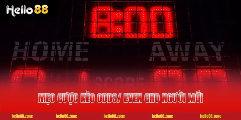 Cách Soi Kèo Chẵn Lẻ | Top 5 Bí Quyết Bất Bại Từ Cao Thủ 4 Mẹo cược kèo Odds/ Even cho người mới
