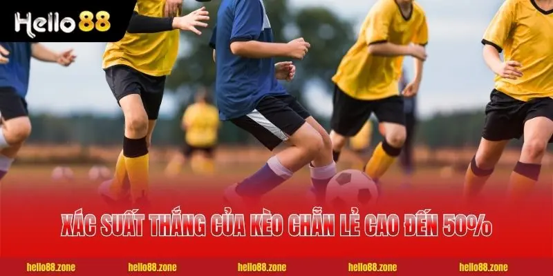 Cách Soi Kèo Chẵn Lẻ | Top 5 Bí Quyết Bất Bại Từ Cao Thủ 2 Xác suất thắng của kèo chẵn lẻ cao đến 50%